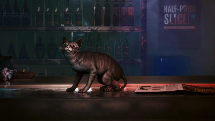 Do You Love Cats? This Cyberpunk 2077 Mod is For You - picture #2