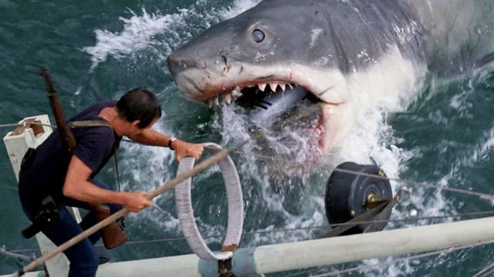 The Shark From Jaws Lands in a Museum - picture #1