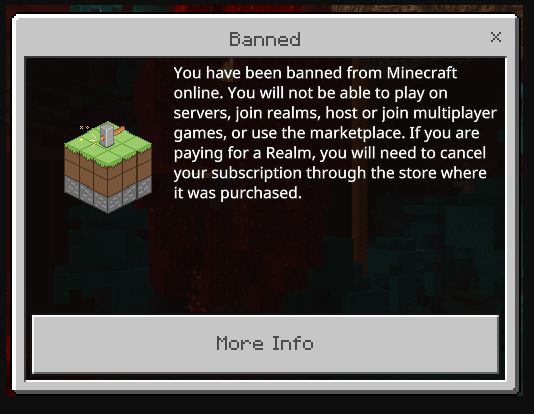 Stricter Bans in Minecraft Bedrock Spark Controversy - picture #1