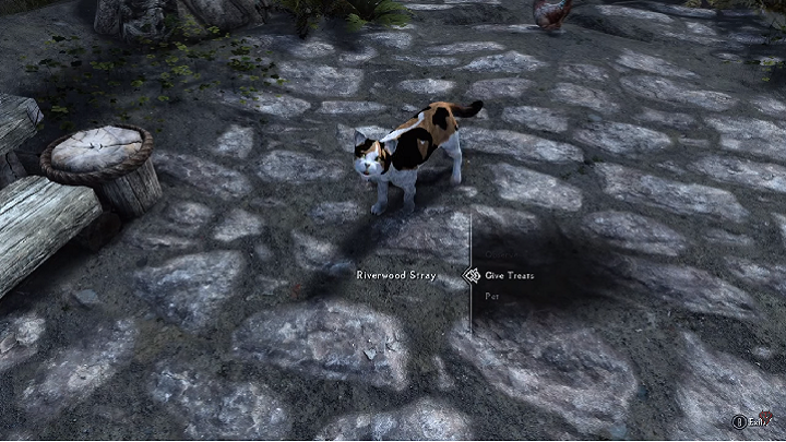 Skyrim Mod Enables Us to Gain Cat Followers - picture #1