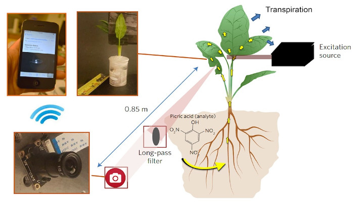 Spinach Detects Explosives and Sends Emails - picture #2