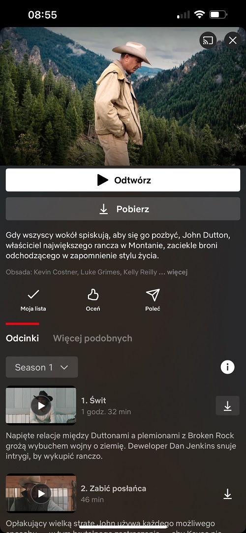 Pobieranie materiałów z Netfliksa to zaledwie kilka prostych kroków. Źródło: własne.