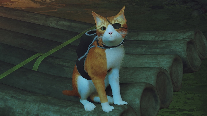 Miss Cat Personalization in Stray? Fortunately, There Are Mods - picture #1