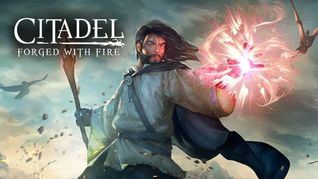 Citadel: Forged with Fire