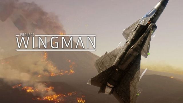 Project Wingman