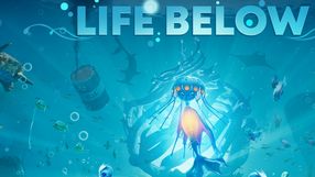 Life Below