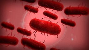 Dzięki graczom w Plague Inc pojawią się antyszczepionkowcy