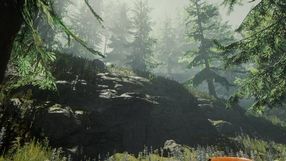 The Forest wychodzi z wczesnego dostępu