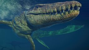 Jurassic World Evolution 2 - data premiery i zwiastun z gamescom 2021