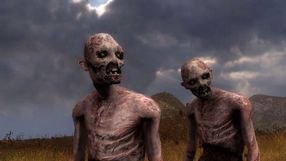 STALKER: The Journey - samodzielny mod z nowymi mapami już dostępny