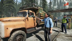 Symulator inspektora straży granicznej podbił Steama, PlayWay chwali się liczbami