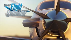 Microsoft Flight Simulator
