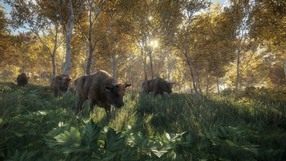 Symulator polowania theHunter: Call of the Wild ukaże się 16 lutego