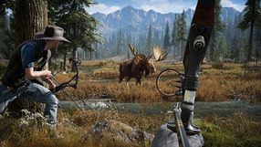 Far Cry 5 - szczegóły na temat trybu co-op
