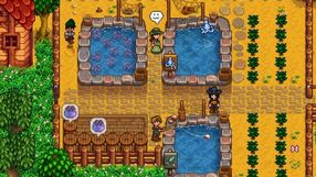 Stardew Valley 1.6.15 przywraca prawdziwie legendarny status stawom rybnym. Twórca zdaje sobie sprawę, że niektórzy gracze mają problem z rozwodami