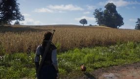 W Fable znowu kopniemy kurczaka. Nowy gameplay trailer daje przedsmak tego, co czeka nas w 2026 roku, a u części graczy rodzi też obawy