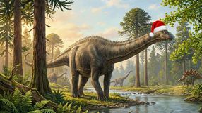 Ostatnio dowiedzieliśmy się, jaki kolor miał diplodok, i uznaliśmy, że święta to doskonały czas, by się tym podzielić