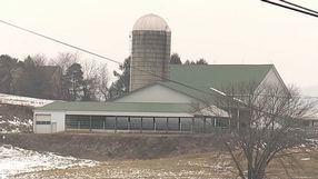 86-letni rolnik odrzucił ponad 15 milionów dolarów za pola pod centrum danych, ale zyskał prawie 2 miliony za ocalenie farmy