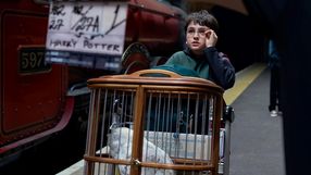 Nowy film o Harrym Potterze przed serialem podbija HBO Max: już jest numerem 1 na platformie w 24 krajach