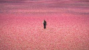 Dziś na Prime Video premiera adaptacji książki, która sprzedała się w milionach egzemplarzy i została przetłumaczona na 40 języków