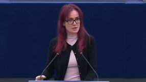 Skoro nie kupujemy już filmów i gier na własność, to czy piractwo nadal jest kradzieżą? Europosłanka pyta, gdzie kończy się własność
