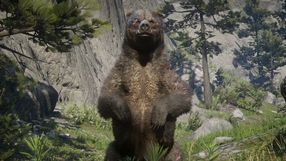 Niesamowite detale RDR2 - zwierzęta w grze vs. rzeczywistość