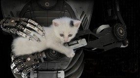 The Talos Principle