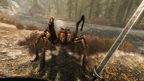 Demo The Elder Scrolls V: Skyrim VR z mieszanymi opiniami