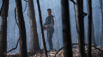 Pierwsze wrażenia z 2. sezonu serialu The Punisher - felieton