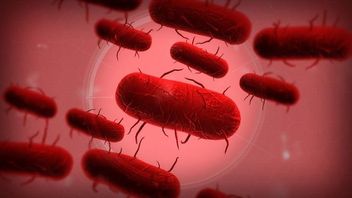 Dzięki graczom w Plague Inc pojawią się antyszczepionkowcy