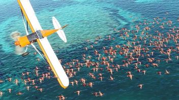 Microsoft Flight Simulator – przepiękny zwiastun z X019