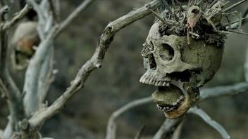 Bone Tomahawk, Opiekun - weekendowe premiery filmowe