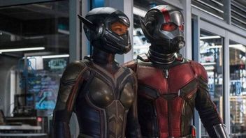 Ant-Man i Osa oraz Han Solo: Gwiezdne wojny – historie w marcu w HBO GO
