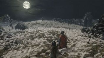 Sekiro Shadows Die Twice - ujawniono wymagania sprzętowe