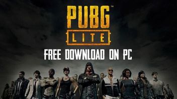 PUBG Lite - darmowa wersja hitu battle royale trafi na PC