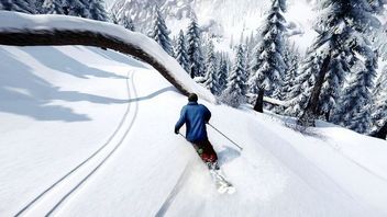 Debiut SNOW w wersji 1.0 - darmowej gry o sportach zimowych od Cryteka