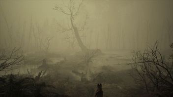 Premiera i recenzje Blair Witch - kolejnego horroru polskiego Bloobera