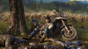 Gry w pudełkach – najciekawsze oferty na weekend 14-15 grudnia