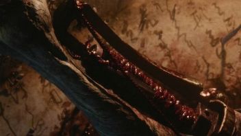 Shadows Die Twice – czy FromSoftware szykuje dla nas nowe Tenchu?