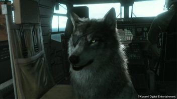 Metal Gear Solid V: The Phantom Pain - wilk DD nowym kompanem Big Bossa