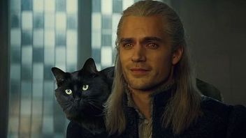 Wiedźmin na wesoło, czyli Geralt z kotem