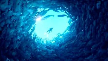 Kolejny tydzień dla No Man's Sky. Top 10 Steam (31 lipca - 6 sierpnia)