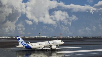 Pasażer odtworzył lot w Microsoft Flight Simulator podczas prawdziwej podróży