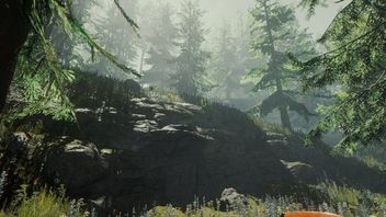 The Forest wychodzi z wczesnego dostępu