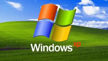 Windows na przestrzeni lat - zobacz, jakie wersje dominowały