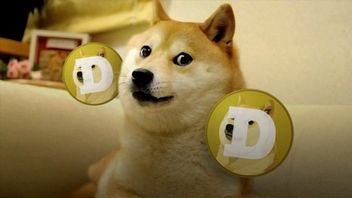 Dogecoin z pomocą Elona Muska i Reddita zyskuje na popularności