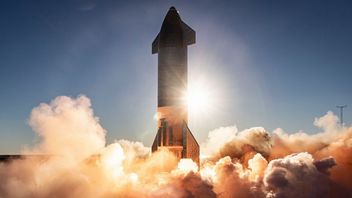 Starship SN9 eksplodował, zobacz nieudany test SpaceX