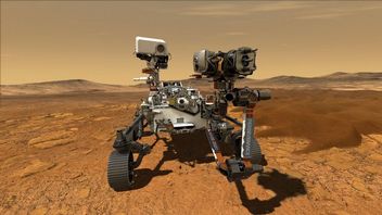 Zobacz wybuch radości w NASA po lądowaniu Perseverance i pierwsze zdjęcia z Marsa