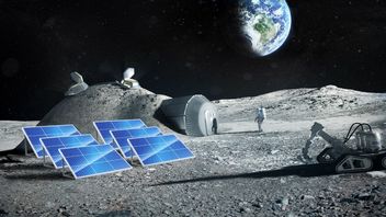 Arka Noego na Księżycu - jest pomysł na ocalenie życia na Ziemi