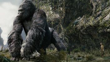Reżyser Kong: Wyspa Czaszki nakręci film o wielkich robotach